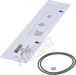 Hengst Filter Filtru ulei Hengst Filter Z17 D625 (HENGSTFILTERZ17D625)
