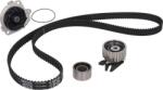 INA Set curea distributie INA 530 0620 30 (INA530062030)