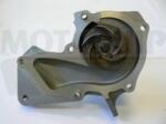 Motaquip Pompa apa, Garnitura Pompa apa Motaquip VWP872 - compatibil Mazda, Ford, Volvo (MOTAQUIPVWP872)