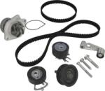 INA Set curea distributie INA 530 0089 31 (INA530008931)