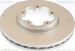 Triscan Frana disc Disc frana Triscan 8120 16193C (TRISCAN812016193C)