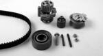 Hepu Set curea distributie Hepu PK05696 - compatibil Vw, Skoda (HEPUPK05696)