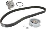 INA Set curea distributie INA 530 0171 30 (INA530017130)