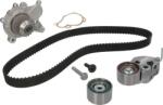 INA Set curea distributie INA 530 0542 31 (INA530054231)