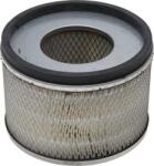 Donaldson P181125 - Filtru aer - Donaldson-P181125 (DONALDSONP181125)