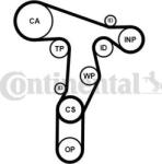 Continental Set curea distributie Continental CT1139WP8PRO - compatibil Audi, Seat (CONTINENTALCT1139WP8PRO)