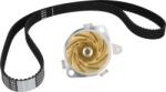 Continental Set curea distributie Continental CT968WP2 - compatibil Fiat (CONTINENTALCT968WP2)