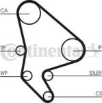 Continental Set curea distributie Continental CT1100WP1 - compatibil Citroen, Peugeot (CONTINENTALCT1100WP1)
