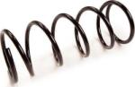 MTR Arc spirala MTR 12108683 - compatibil Ford (MTR12108683)