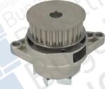 Bugatti Pompa apa, Garnitura Pompa apa Bugatti PA10042 - compatibil Audi, Vw, Seat (BUGATTIPA10042)