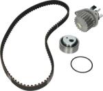 Hepu Set curea distributie Hepu PK08130 - compatibil Peugeot, Citroën (HEPUPK08130)