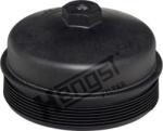 Hengst Filter Filtru ulei Hengst Filter H700H - compatibil Volvo, Man, Renault - Hengst Filter (HENGSTFILTERH700H)