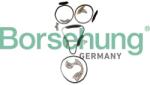 BORSEHUNG chit lant de distributie BORSEHUNG B12736 (B12736) - automobilus