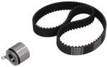 KAMOKA Set curea de distributie KAMOKA 7001114 (7001114)