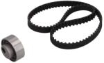 KAMOKA Set curea de distributie KAMOKA 7001159 (7001159)