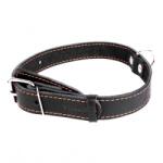 COLLAR Zgardă COLLAR, din piele neagră, pentru câini 38 - 50cm, 25mm