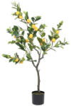  Élethű citromfa citrommal 120cm