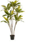  Élethű cserepes cordyline dekorfa 7 száras 160 cm