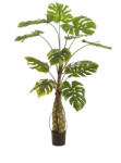  Élethű cserepes műnövény két törzsű monstera pálma 150 cm