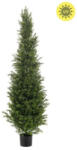  Élethű cédrus UV 150 cm