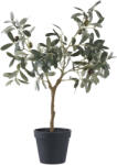 House Nordic Olivafa műnövény, zöld 61 cm (9501002) - leziter