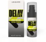 Lube4lovers Spray Delay Pro Impotriva Ejacularii Precoce Delay, 40 ml