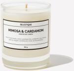 Selestique® Mimosa & Cardamom - Ароматна свещ 160 г