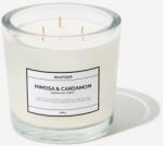 Selestique® Mimosa & Cardamom - Ароматна свещ 630 г