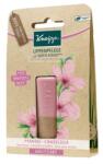Kneipp ajakápoló - Mandulavirág 4, 7g (Előrendelhető)