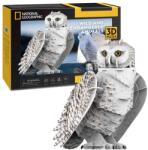CubicFun CUBICFUN - PUZZLE 3D BUFNITA POLARA 62 PIESE (CUDS1079h)