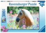 Ravensburger Puzzle Calut Pe Camp De Flori, 300 Piese (RVSPC13294) - ejuniorul Puzzle