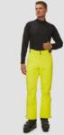 Descente Pantaloni De Schi Pentru Bărbați Descente Swiss Wide Pants Galbeni