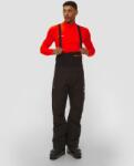 Mammut Pantaloni De Schi Pentru Bărbați Mammut Haldigrat Hs Bib Pants Men Negri