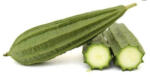  Turiya/ Dovlecel Lung 1kg Import India
