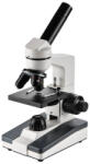 BTC Microscop biologic Student 14 pentru elevi Student (40-400x) cu LED