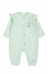 BabyJem Salopeta cu maneca lunga si volanas nou nascut verde, tongs baby (marime: 3-6 luni)