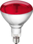 Philips Bec Infrarosu Philips 250W E27 BR125 incalzire pui, animale mici