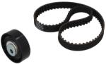 KAMOKA Set curea de distributie KAMOKA 7001029 (7001029)