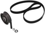 KAMOKA Set curea de distributie KAMOKA 7001166 (7001166)