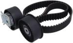 KAMOKA Set curea de distributie KAMOKA 7001010 (7001010)