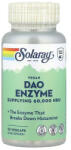 SOLARAY Vegan DAO Enzyme, 4.2 mg, 30 VegCaps