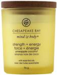 Chesapeake Bay Strength & Energy 96 g