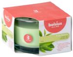 Bolsius Ceai verde 90x63 mm