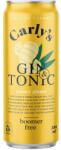  Carly's Groovy Ginger gin & tonic RTD DRS (0, 25L / 4, 9%)