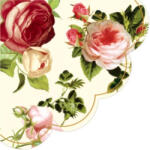 PAW Rosalia Papírszalvéta 32cm, 12db-os