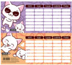 Nebulo Órarend egylapos Cicás, 25 db/csomag, Nebulo (ÓRAR-MINI-CICA)