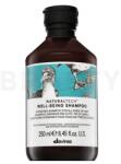 Davines Natural Tech Well-Being Shampoo 250 ml