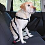 TRIXIE Ham auto de protecție pentru câini - S, 30-60 cm