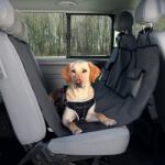 TRIXIE Husă pentru scaunele din spate ale autoturismului - 1, 40x1, 45 m