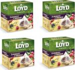 LOYD Tea Gyömbér-Vörösáfonya 20x2g (3102969) (3102969)